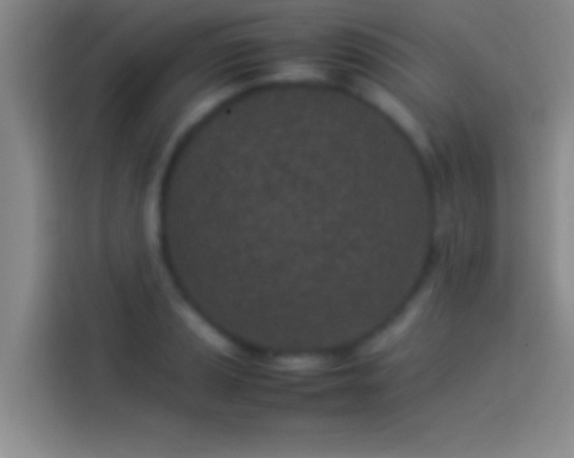 X0000113911037200910011445