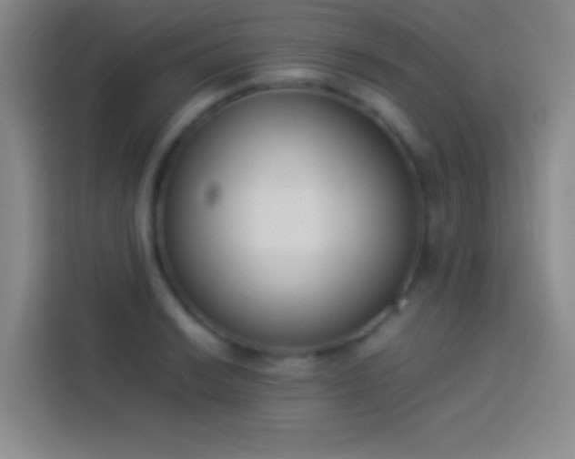 X0000113911038200910011445