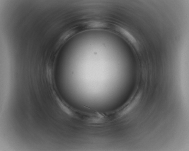 X0000113911041200910011445