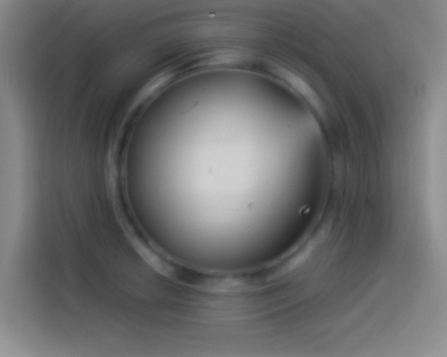 X0000113911042200910011445