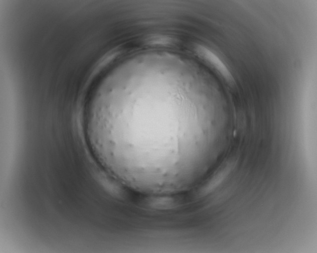 X0000113911043200910011445