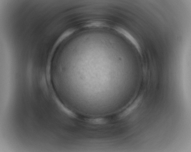 X0000113911045200910011445