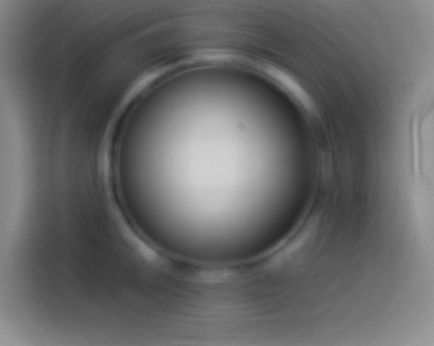 X0000113911046200910011445