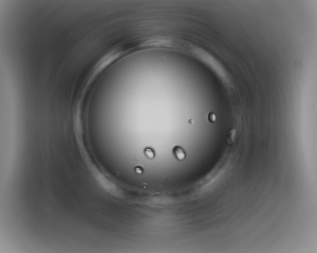 X0000113911050200910011445