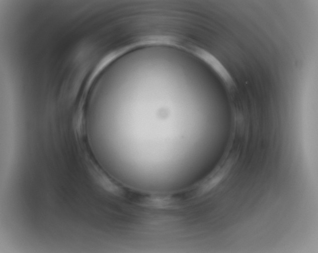 X0000113911052200910011445