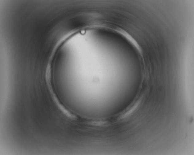 X0000113911053200910011445