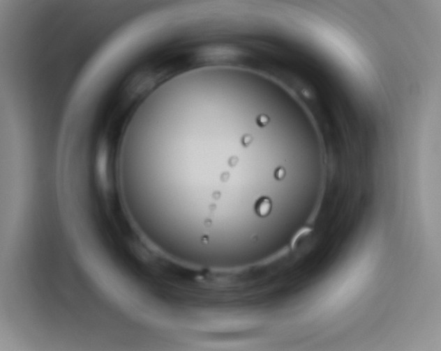 X0000113911054200910011445