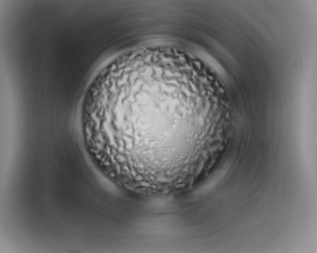 X0000113911055200910011445