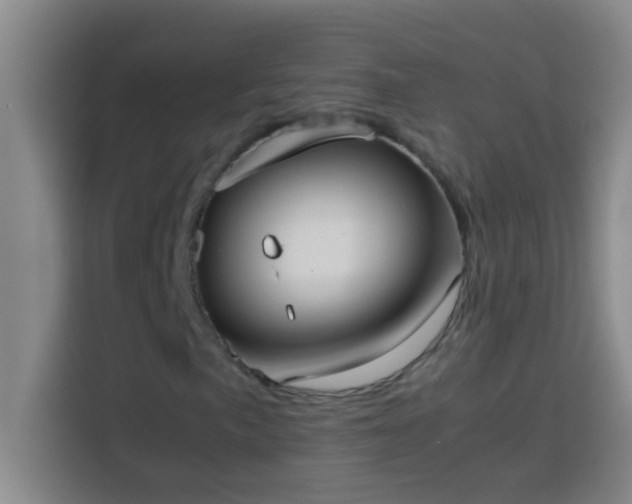 X0000113911057200910011444