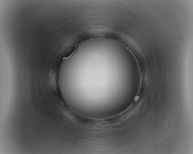 X0000113911060200910011444