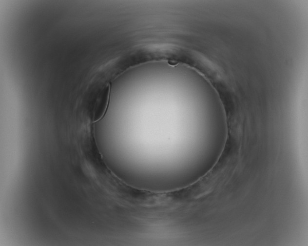 X0000113911061200910011444