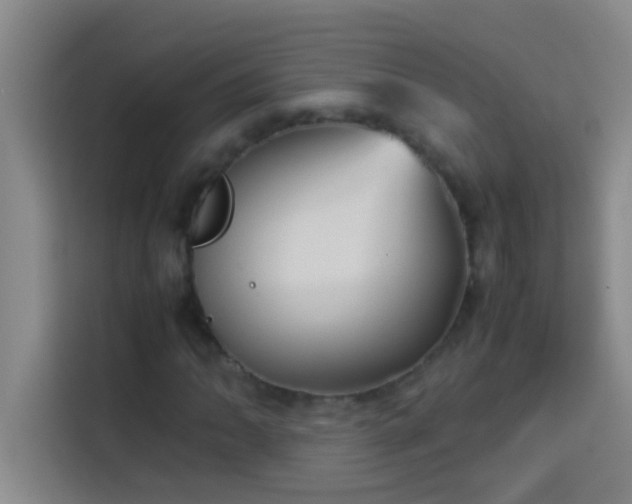 X0000113911062200910011444