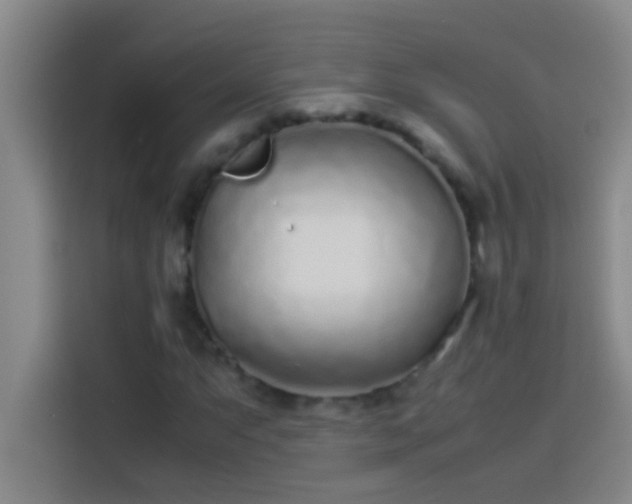 X0000113911063200910011444