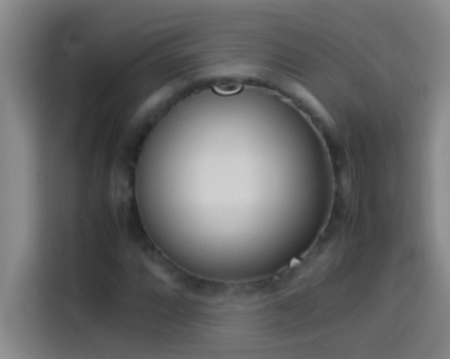 X0000113911064200910011444