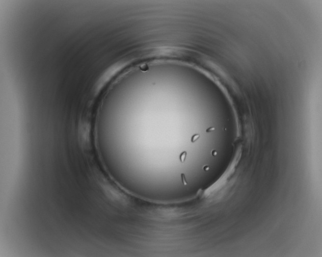 X0000113911066200910011444