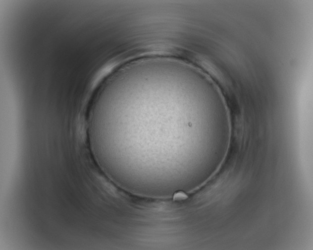 X0000113911067200910011444