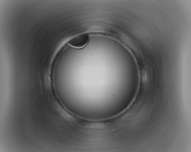 X0000113911068200910011444