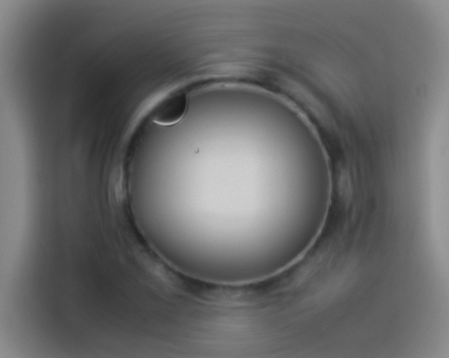 X0000113911069200910011444