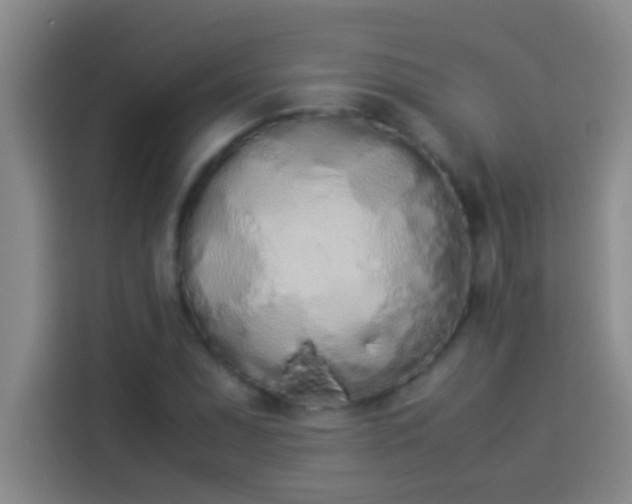 X0000113911071200910011444