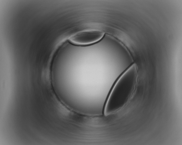 X0000113911072200910011444