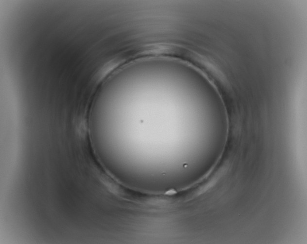 X0000113911073200910011444