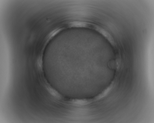 X0000113911074200910011444