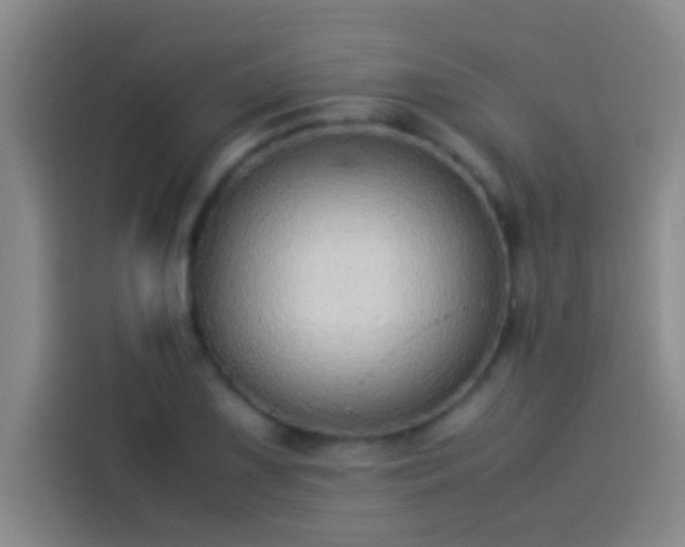 X0000113911075200910011444