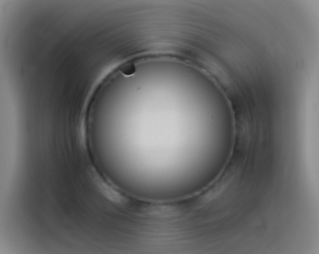 X0000113911076200910011444