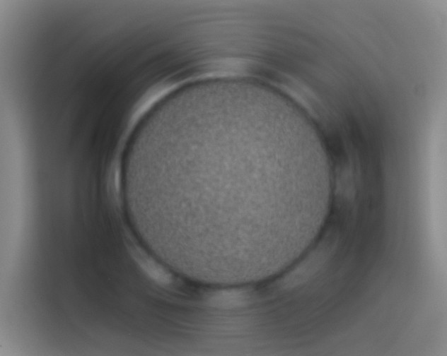 X0000113911078200910011444