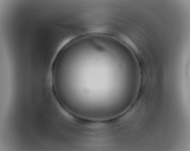 X0000113911079200910011444