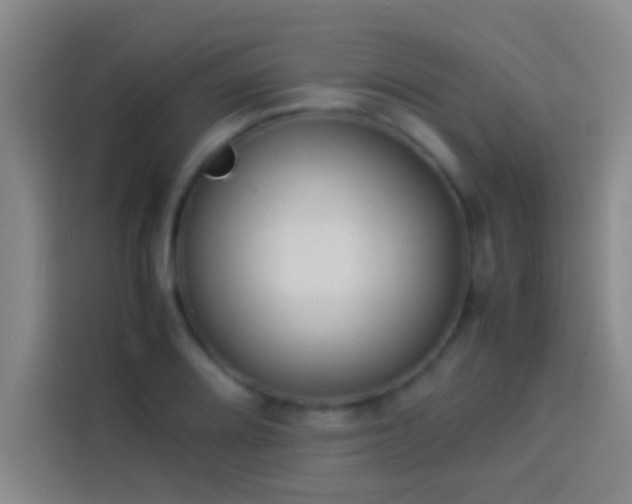 X0000113911080200910011444