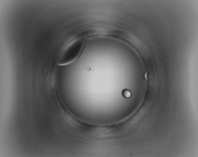 X0000113911081200910011444