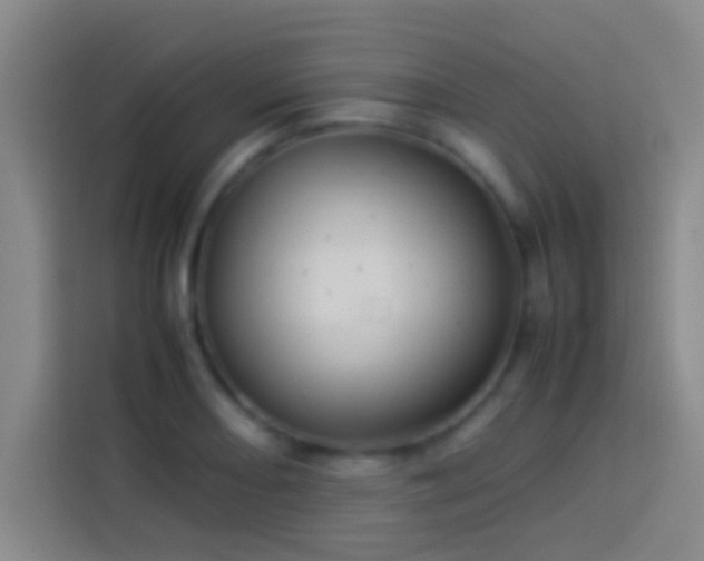 X0000113911082200910011444