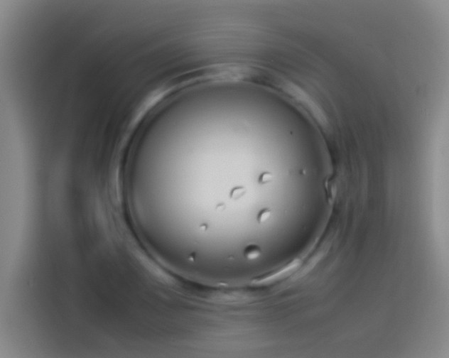 X0000113911083200910011444