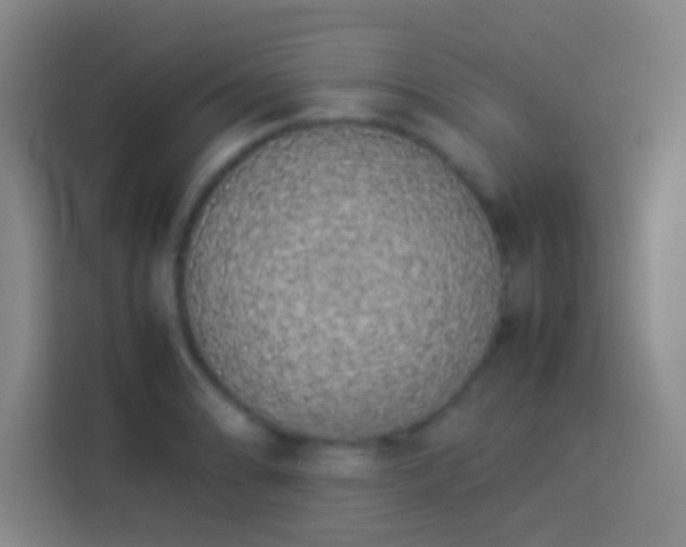 X0000113911086200910011444