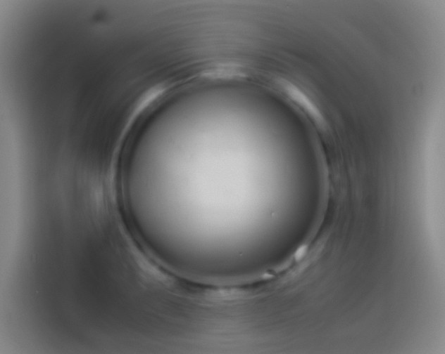 X0000113911087200910011444