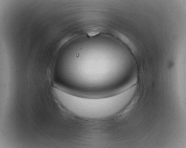 X0000113911089200910011444