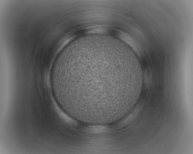 X0000113911090200910011444