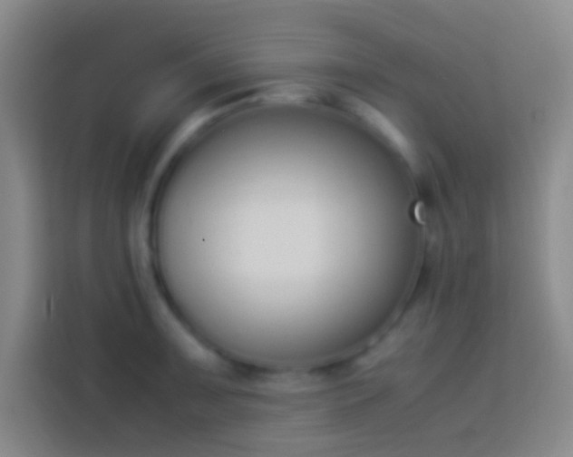 X0000113911091200910011444