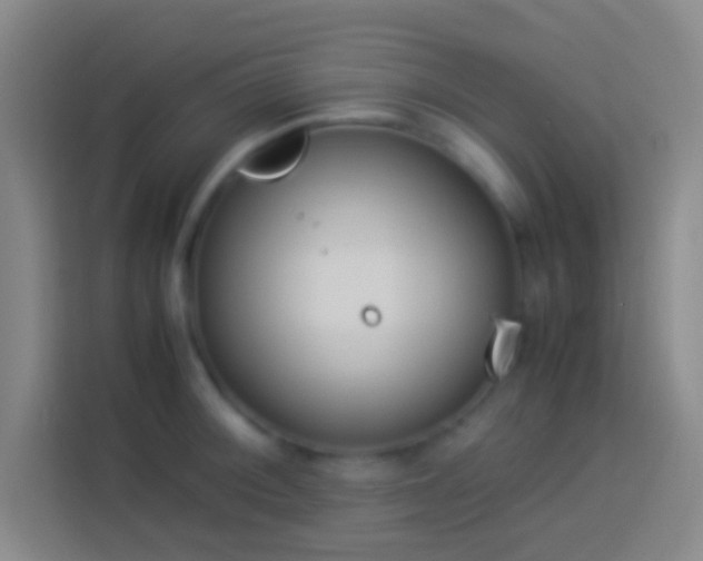 X0000113911092200910011444