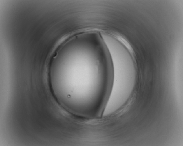 X0000113911093200910011444