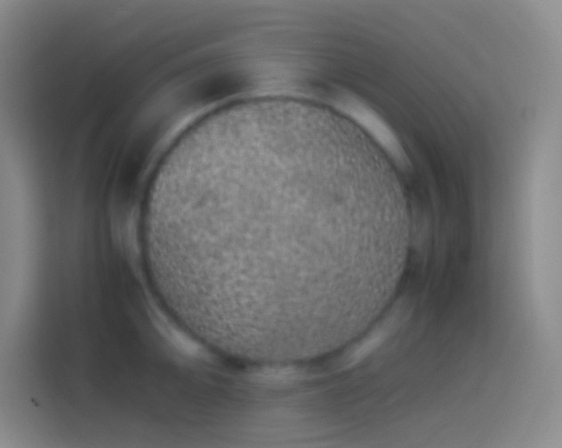 X0000113911094200910011444