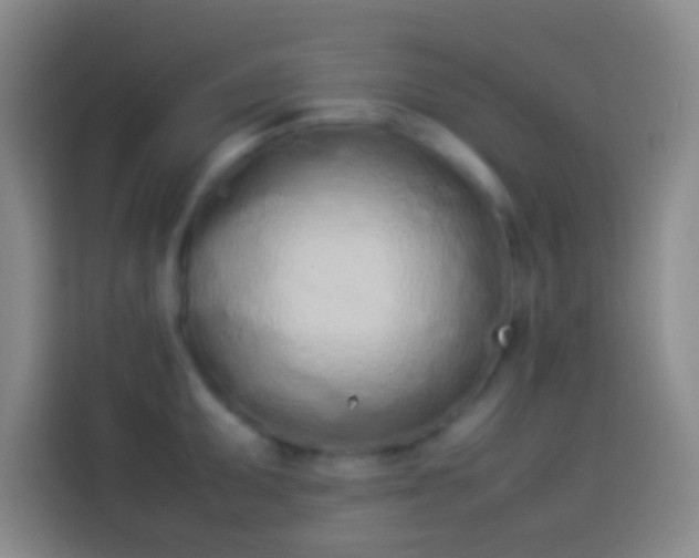 X0000113911095200910011444