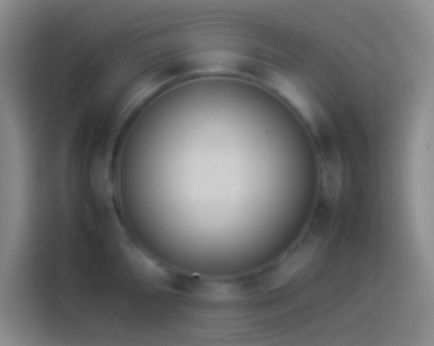 X0000113911096200910011444