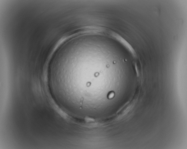 X0000113911099200910011444