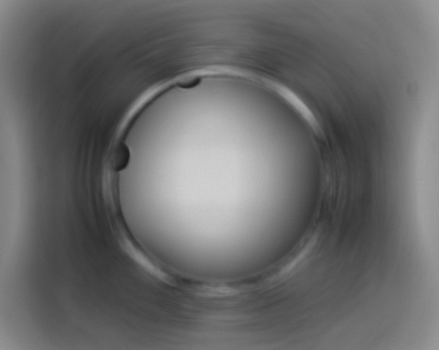 X0000113911100200910011444