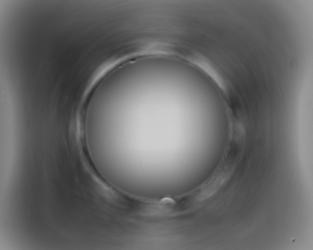 X0000113911101200910011444