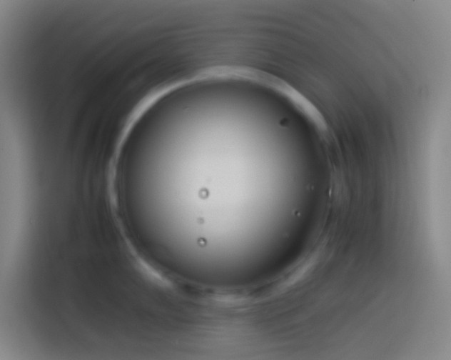 X0000113911102200910011444