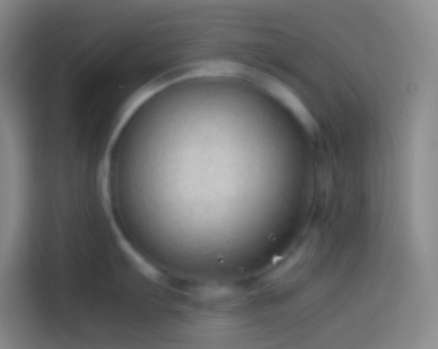 X0000113911103200910011444