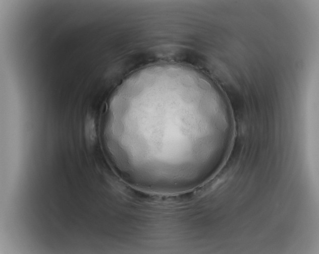 X0000113911106200910011443